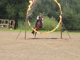 IMG_1662_web